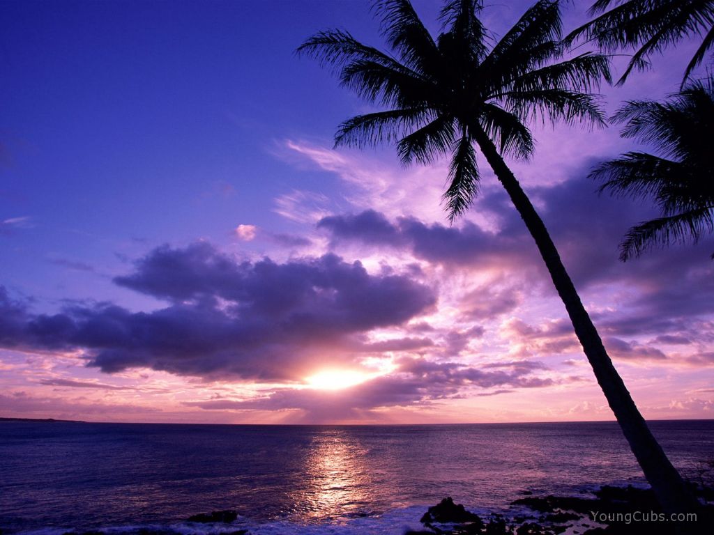Tahitian Paradise
